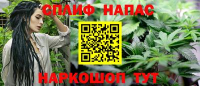 сатива Моздок