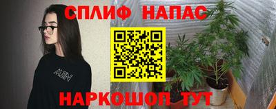 Альфа ПВП Можайск