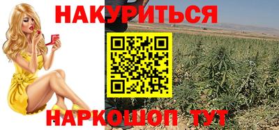 сатива Моздок