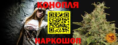 Альфа ПВП Можайск