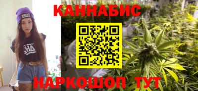 сатива Моздок