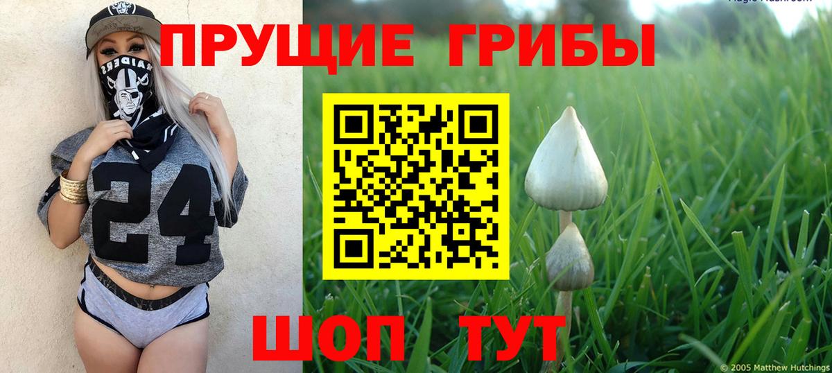 Щёлково  Псилоцибиновые грибы Psilocybe  Вход с VPN 